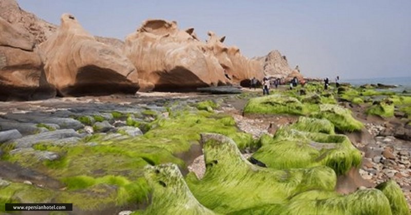 ساحل صخره ای بندر مقام هرمزگان